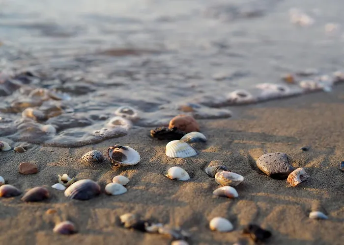 Cozy Flat With Balcony Near The Beach In Bibione * Bibione